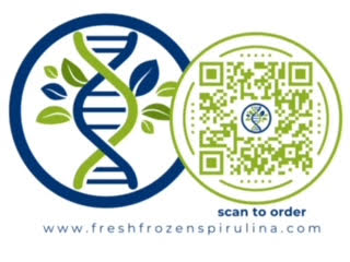 Spirulina is a powerhouse of nutrition! Buy from www.freshfrozenspirulina.com