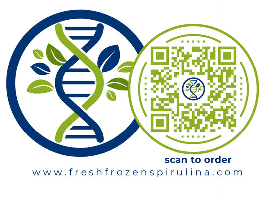 The Natural Energy Boost of Fresh Frozen Spirulina