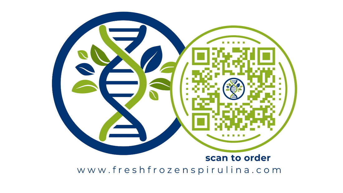 What are the benefits of fresh frozen spirulina?