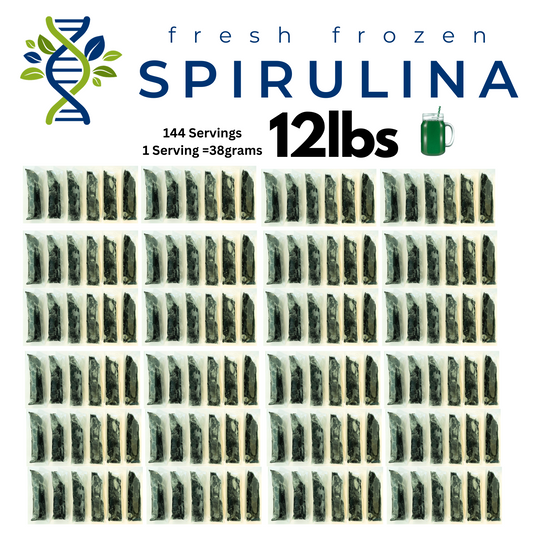 Fresh Frozen Spirulina 12lbs (144 packets)