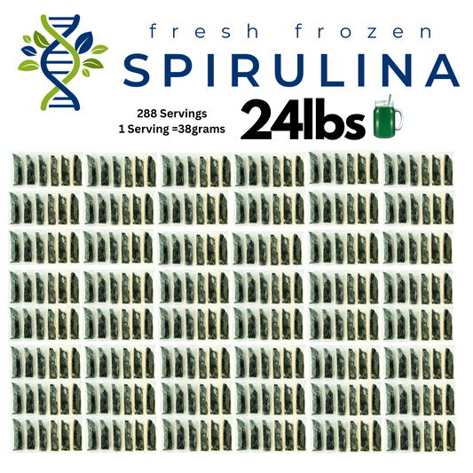 Fresh Frozen Spirulina 24lbs (288 packets)